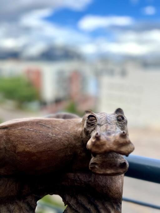 Apartment The Hippo Luxury Cape Town