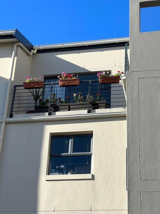 The Hippo Luxury * Cape Town